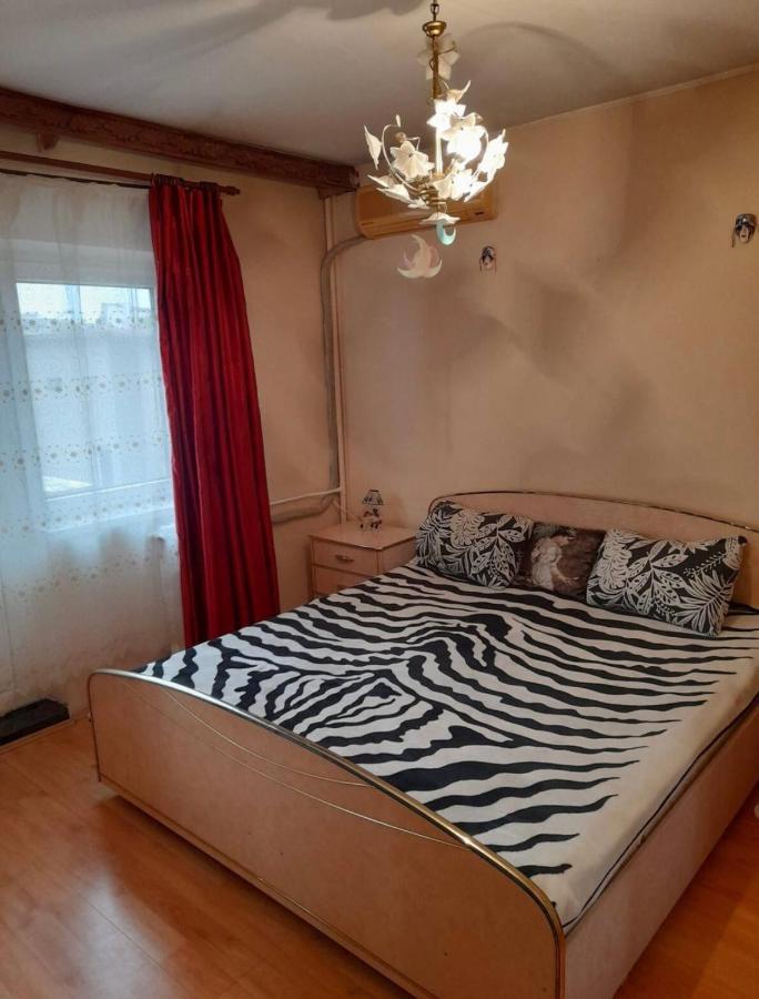 Ploiesti Ultracentral !!! Ngoại thất bức ảnh